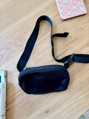 NWOT quince nylon belt bag